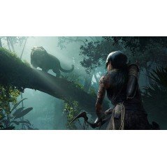 Shadow of the Tomb Raider en Tunisie