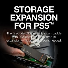 Seagate FireCuda 530, 1 TB,M.2 PCIe Gen4 ×4 NVMe 1.4, transfer speeds up to 7,300 MB/s, Heatsink,Licence Officielle PS5 en Tu...