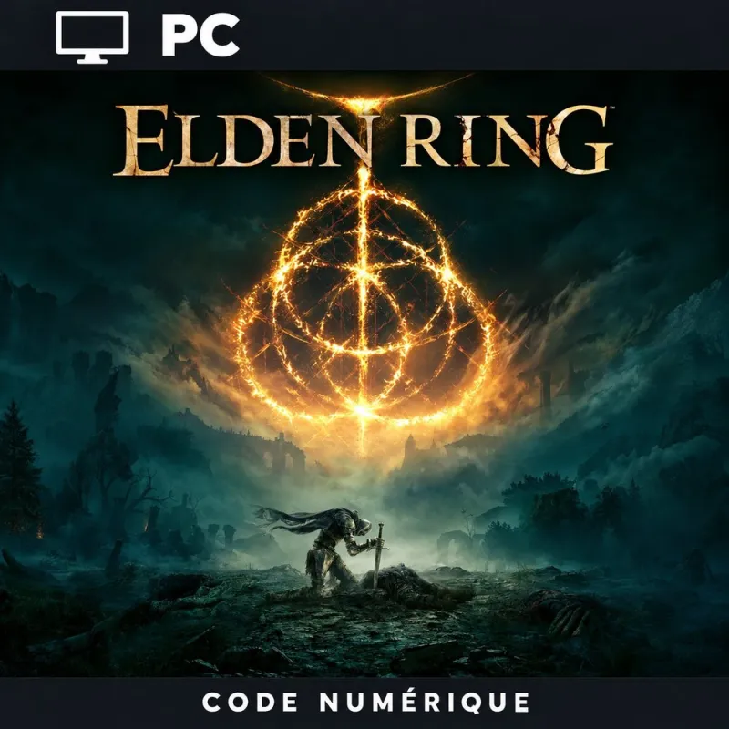 ELDEN RING sur Steam PC