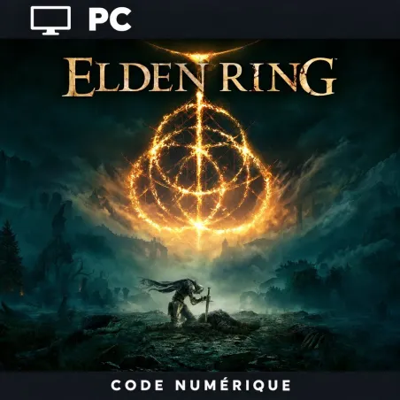 ELDEN RING sur Steam PC